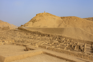 Gallery Thumbnail 5