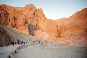 Gallery Thumbnail 2